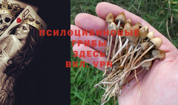 марки nbome Пестово