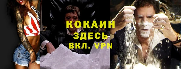 jwh Пересвет
