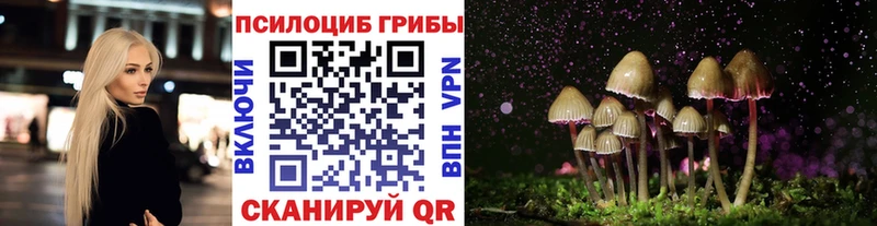 Псилоцибиновые грибы мухоморы  Сибай 