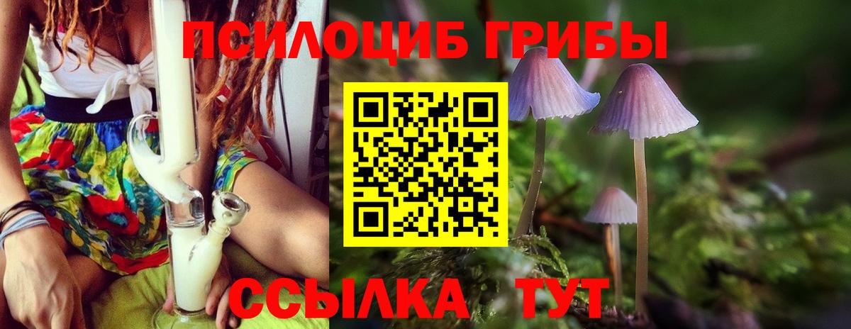 Галлюциногенные грибы Cubensis Сибай