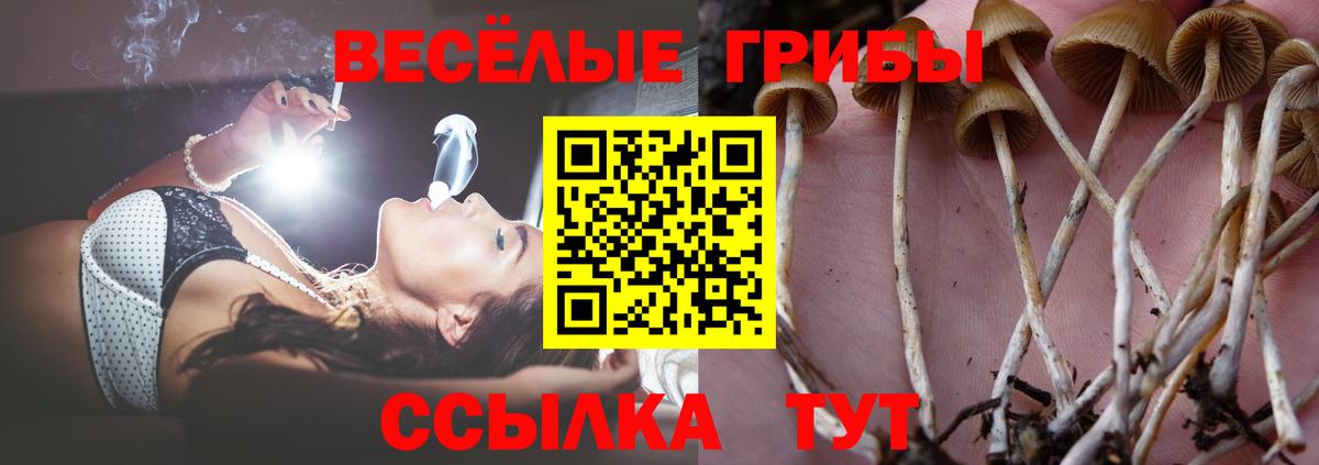 Псилоцибиновые грибы ЛСД  Вход с VPN  Сибай 